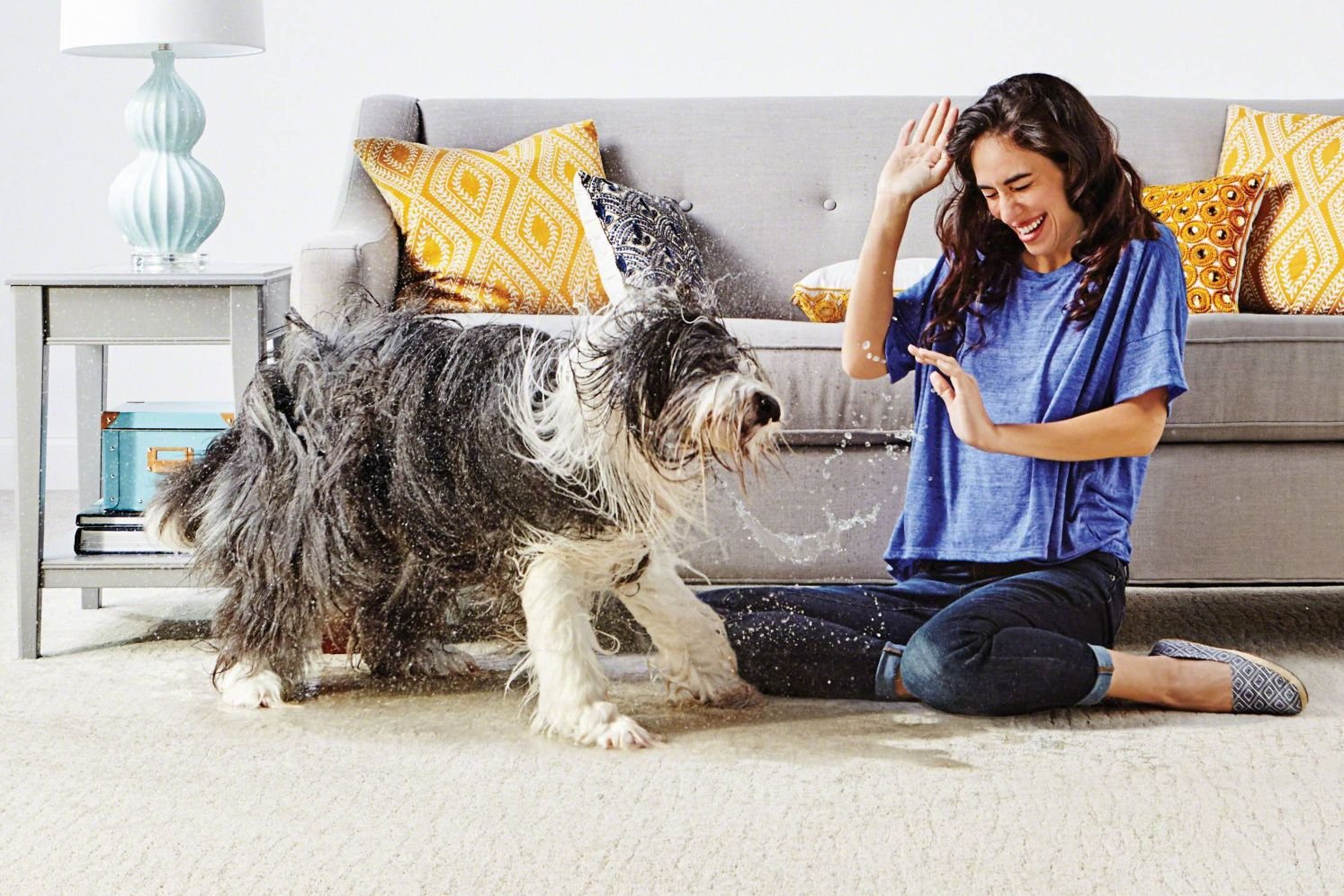 dog in living room - 180 Degree Floors in the Nashville, TN area