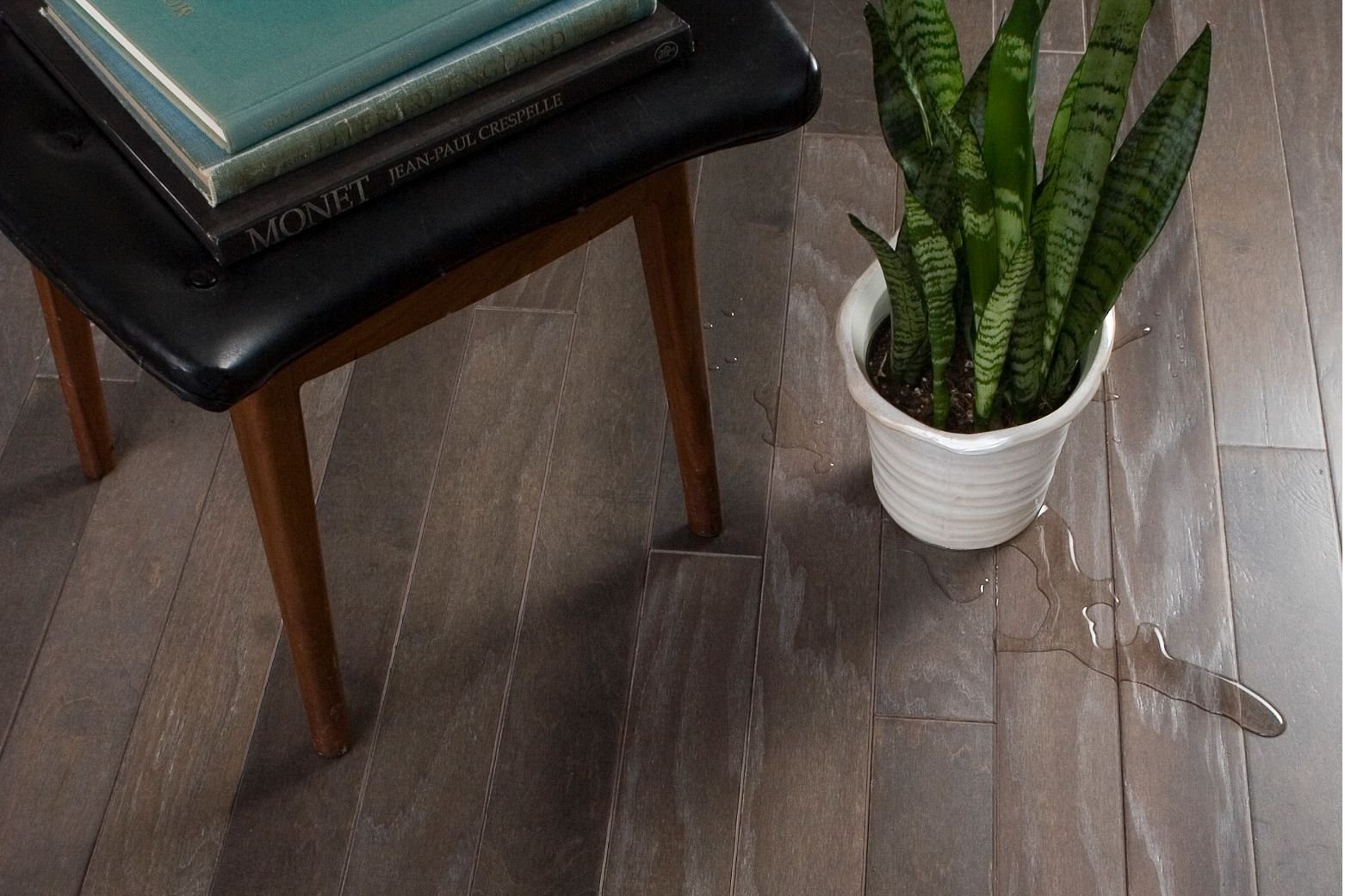 plant on floor - 180 Degree Floors in the Nashville, TN area